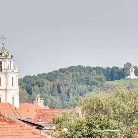 Domillion Penthouse Duplex W Terrace 18 Ppl P36t Apartment *