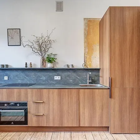 Domillion Penthouse Duplex W Terrace 18 Ppl P36t Apartment *