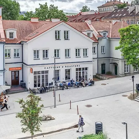 Domillion Penthouse Duplex W Terrace 18 Ppl P36t