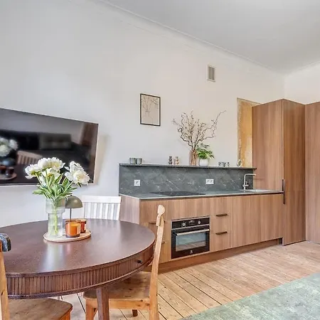 Domillion Penthouse Duplex W Terrace 18 Ppl P36t * 빌뉴스